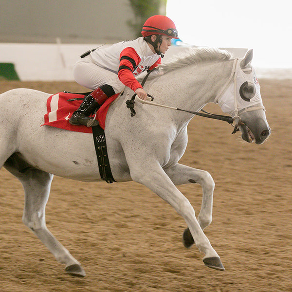 white thoroughbred racing