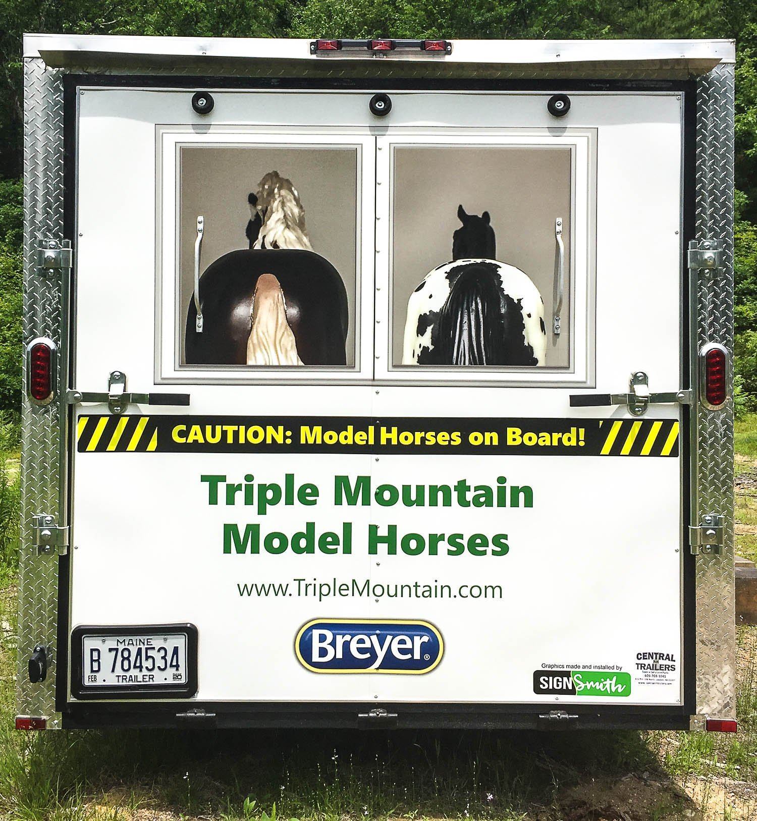 A Collectors Dream | Triple Mountain Model Horses