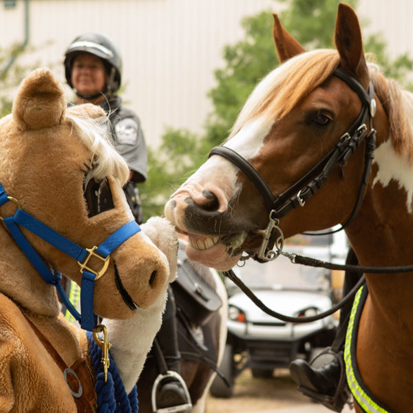 About BreyerFest: Driving Forward! - BreyerHorses.com