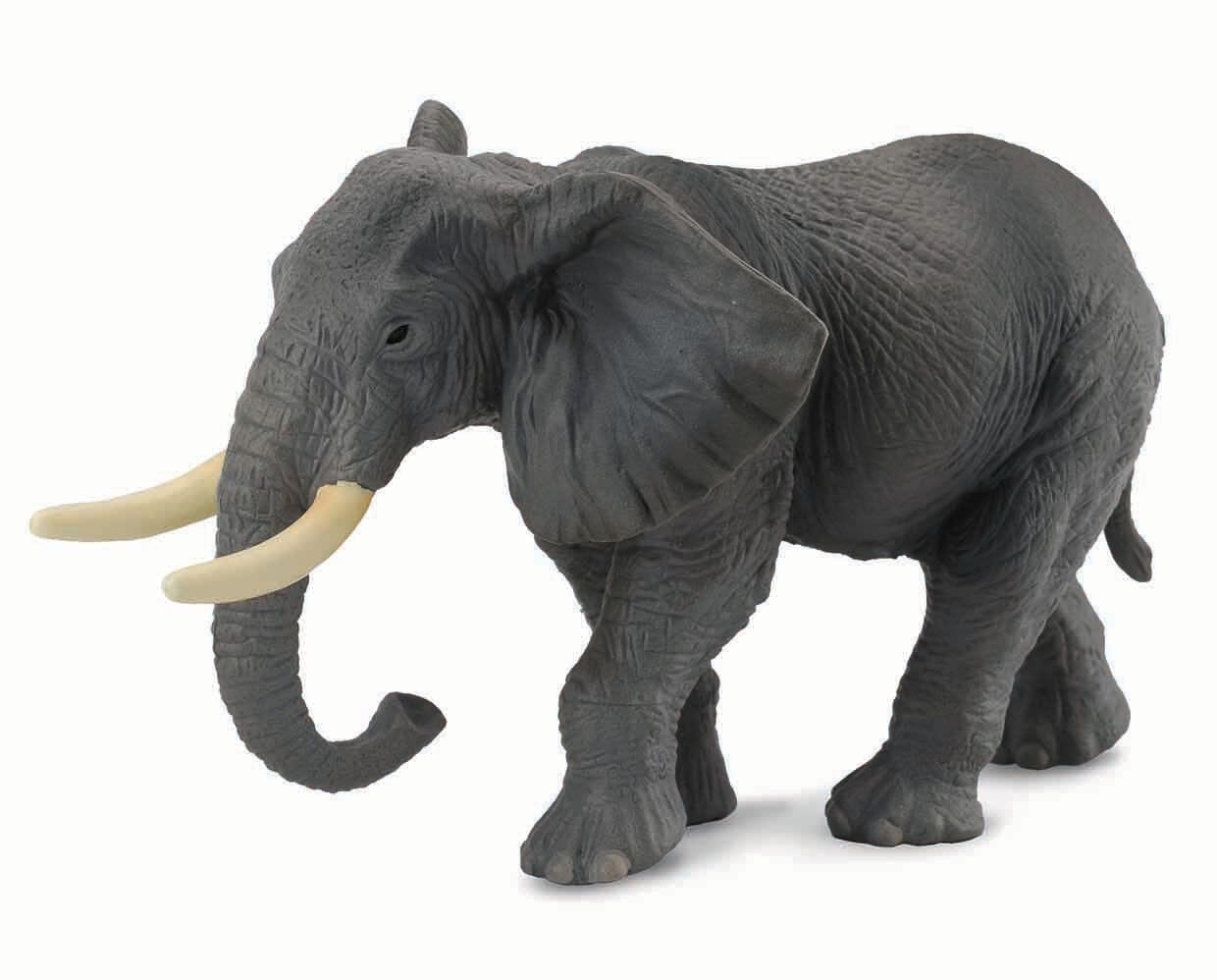 African Elephant | Retired