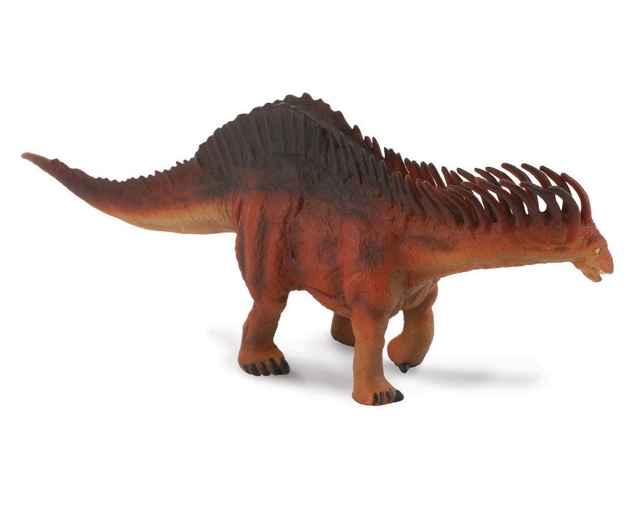 Amargasaurus | Retired