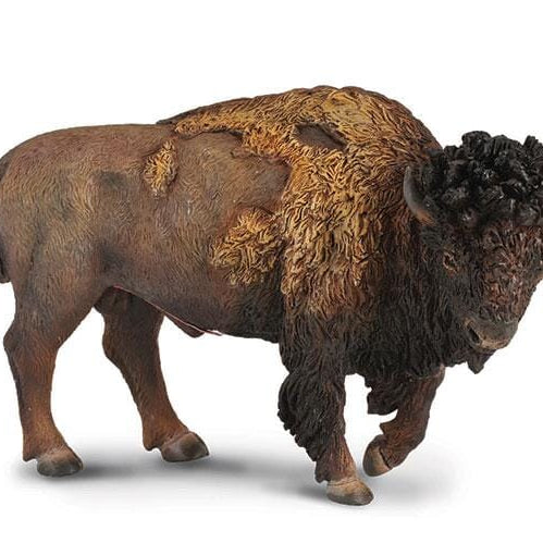 American Bison | Retired