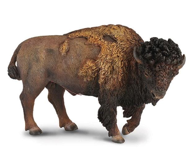 American Bison | Retired