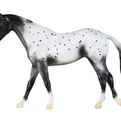 Appaloosa | Retired