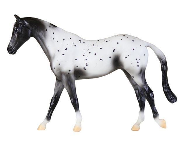 Appaloosa | Retired