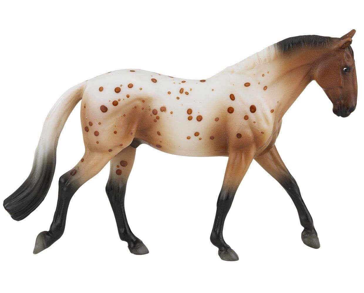 Appaloosa Sport Horse | Retired Stablemate