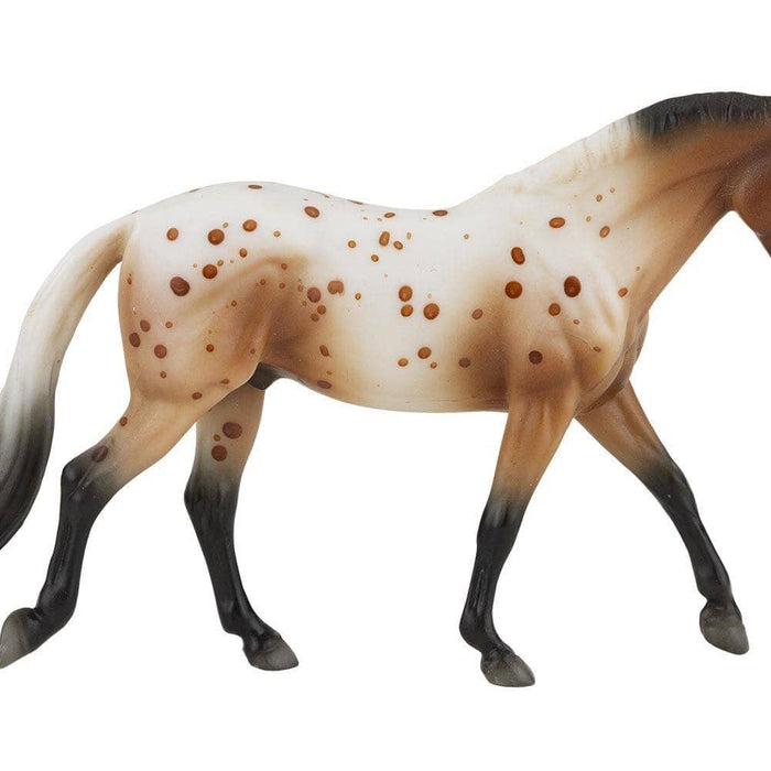 Appaloosa Sport Horse | Retired Stablemate