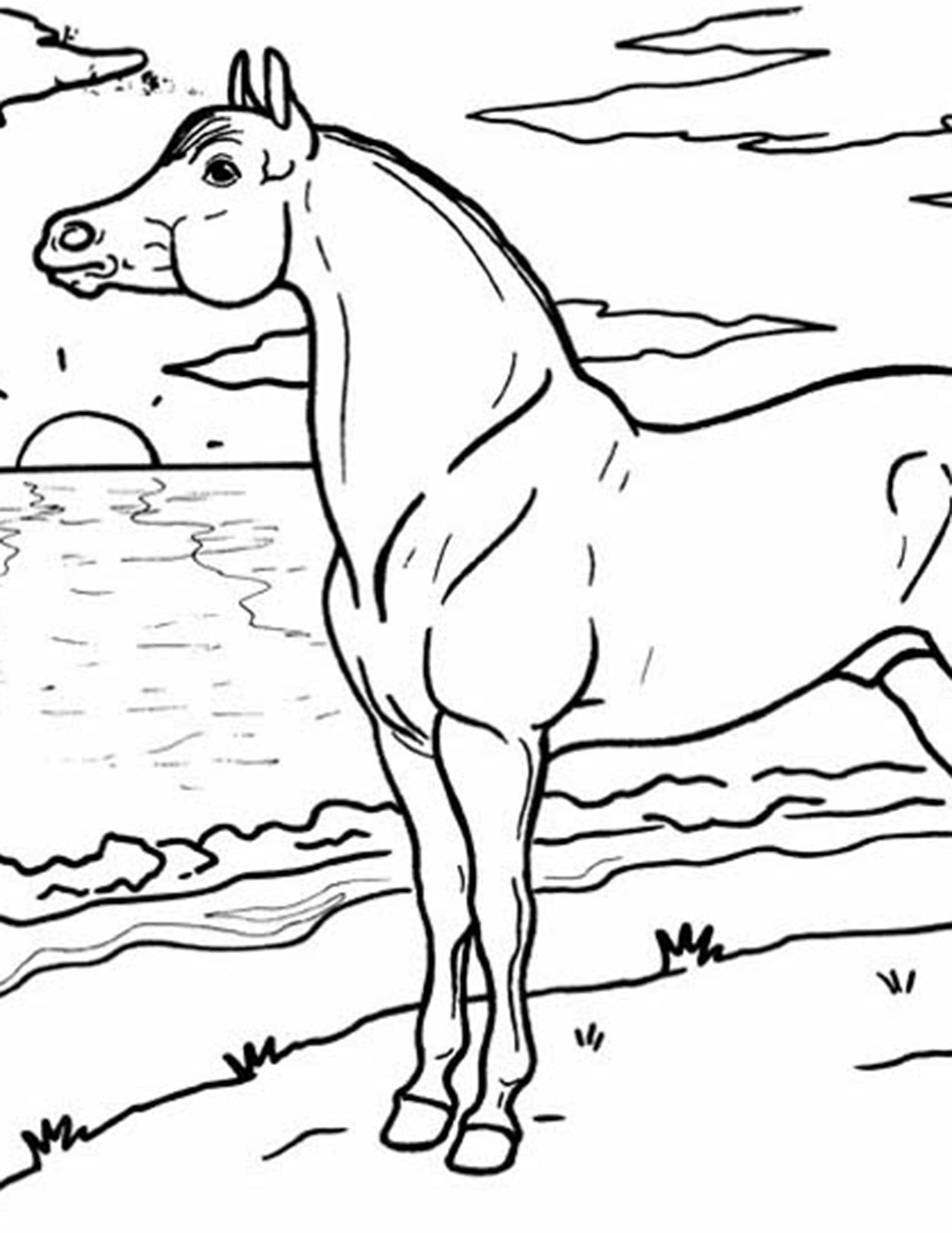 Arabian Coloring Page