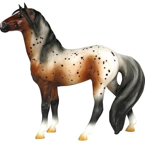 Bay Appaloosa Mustang | Retired