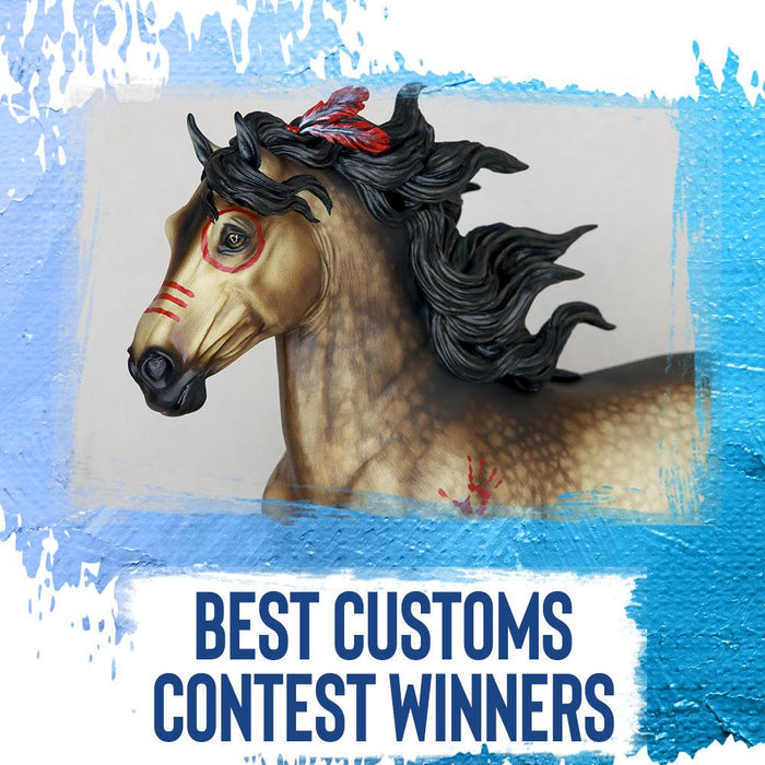 Best Customs Winners