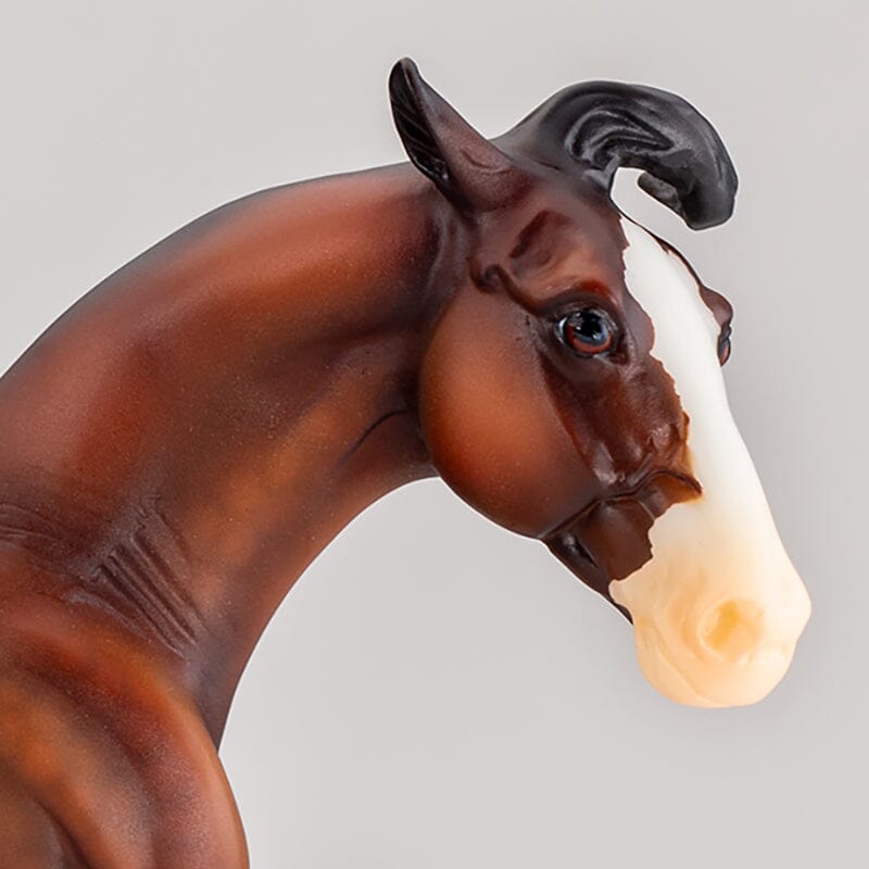 Breyer cheapest Nokota