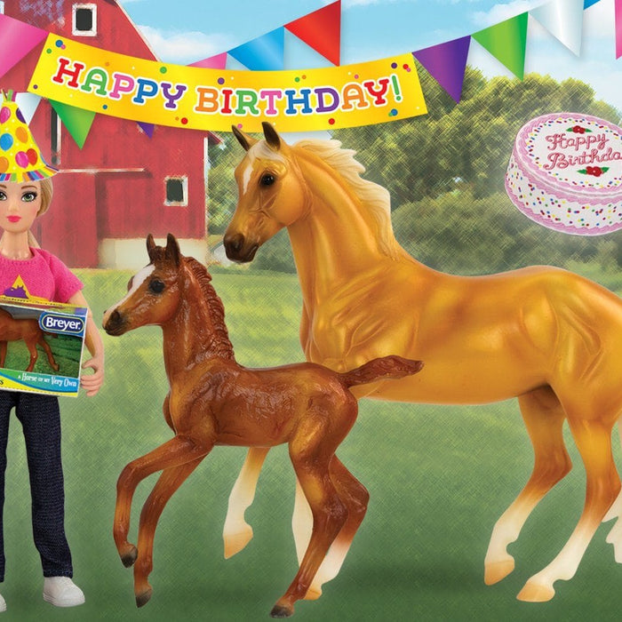 Birthday at the Barn | Retired