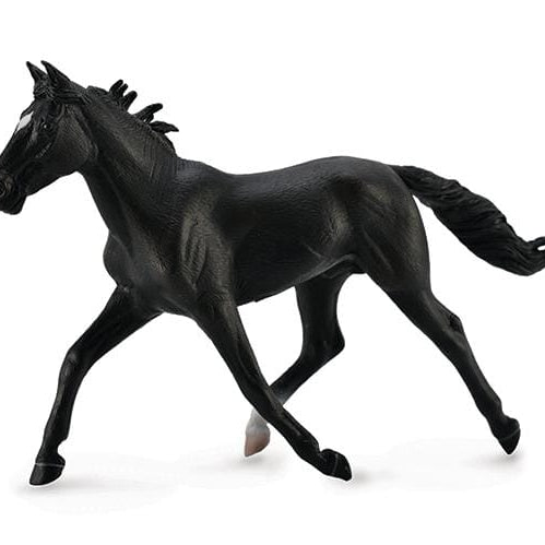 Black Standardbred Pacer Stallion | Retired