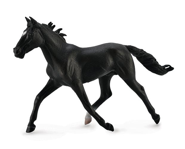 Black Standardbred Pacer Stallion | Retired