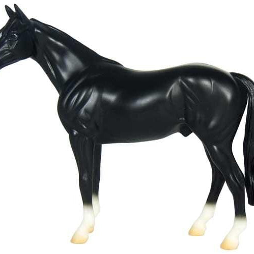 Black Thoroughbred | Retired