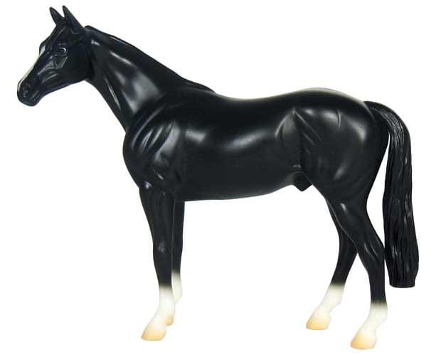 Black Thoroughbred | Retired