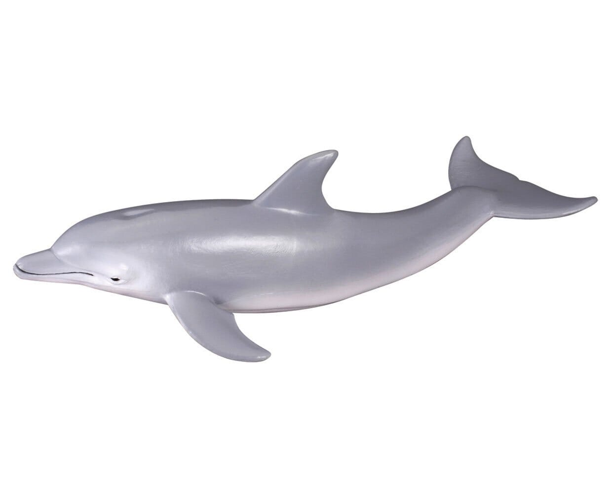 Bottlenose Dolphin | Retired