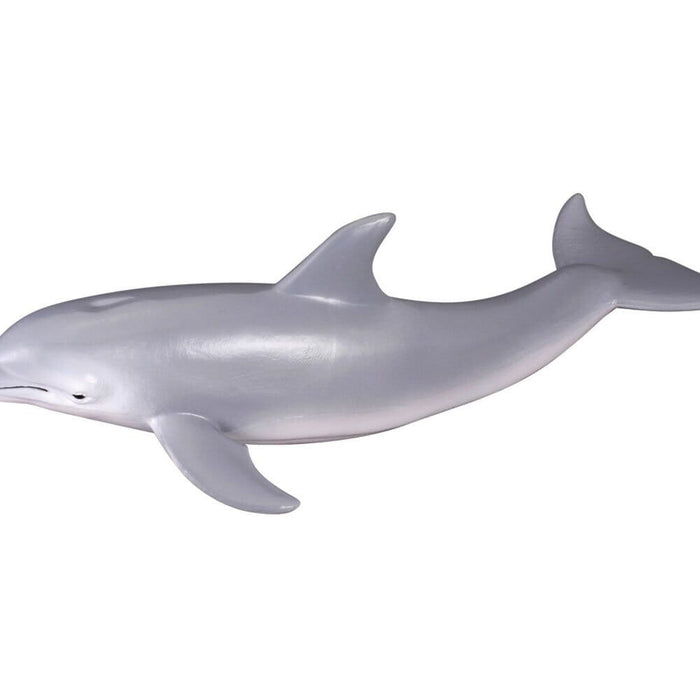 Bottlenose Dolphin | Retired