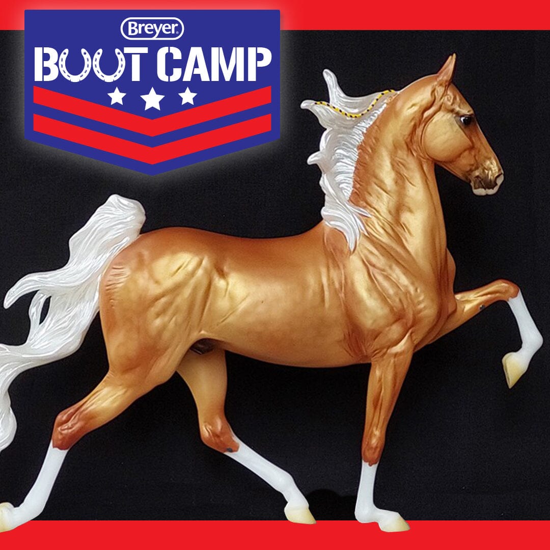 Breyer Boot Camp Photo Uploading Begins Today!