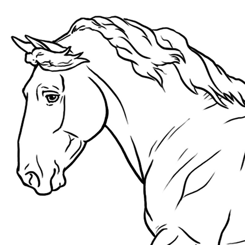 BreyerFest Coloring Page!