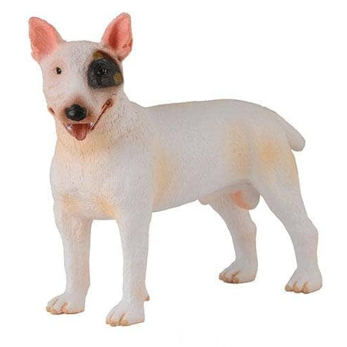 Bull Terrier | Retired