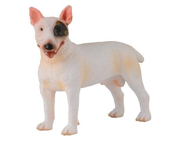 Bull Terrier | Retired