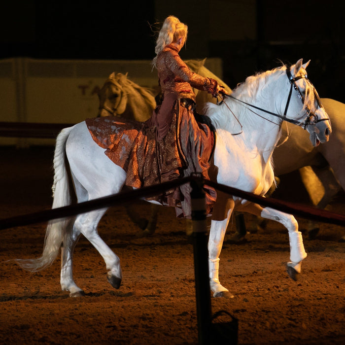 Celebration of Horses Evening Show - "Power of Your Dreams"