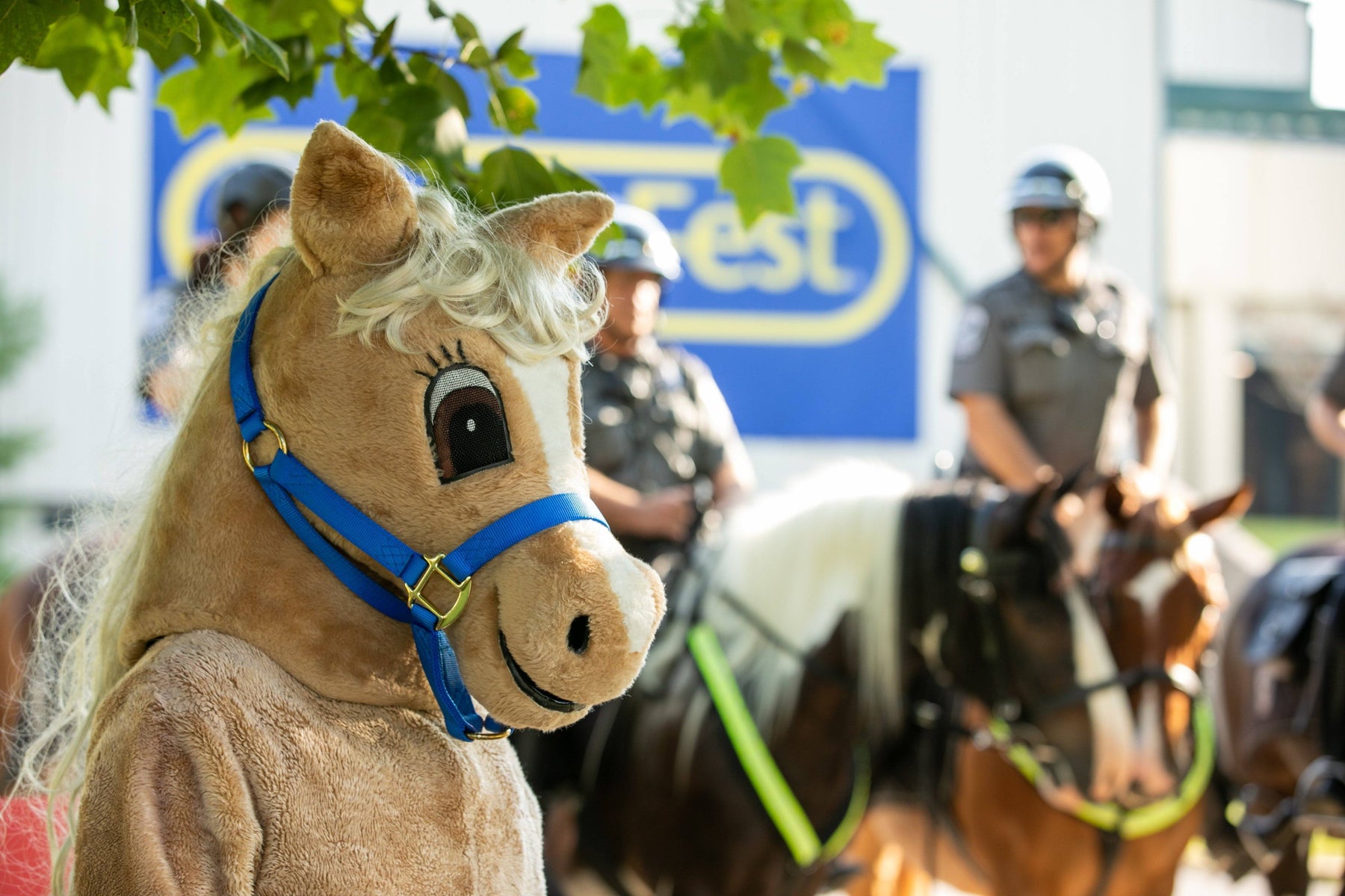 Celebrity Sightings at BreyerFest