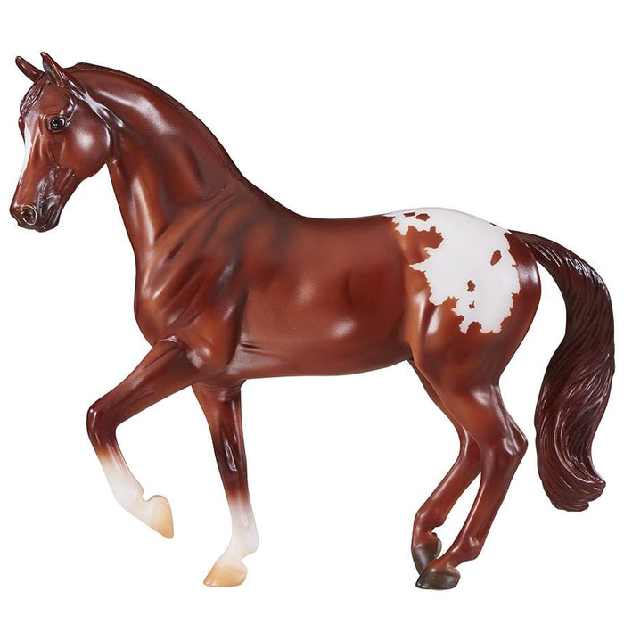 Chestnut Appaloosa | Retired