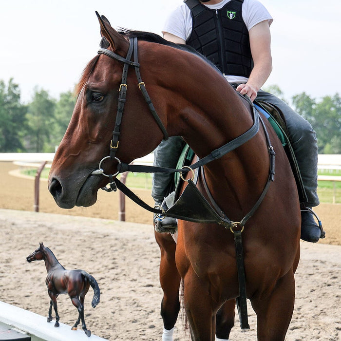 Cody's Wish Defends Breeders' Cup Title