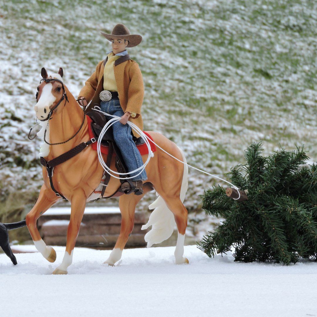 December 2021 Breyer Photo Show