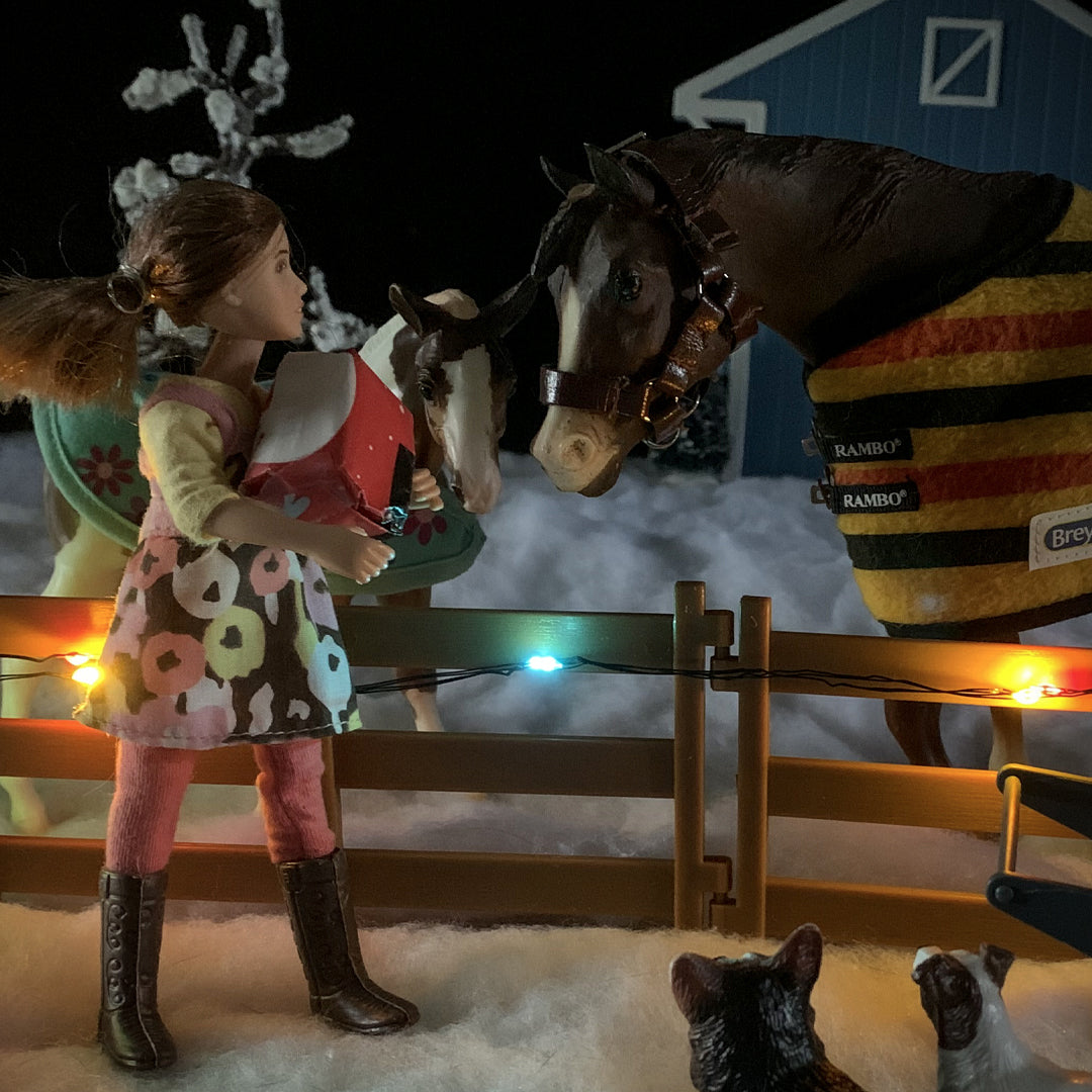 December 2021 Breyer Photo Show Results