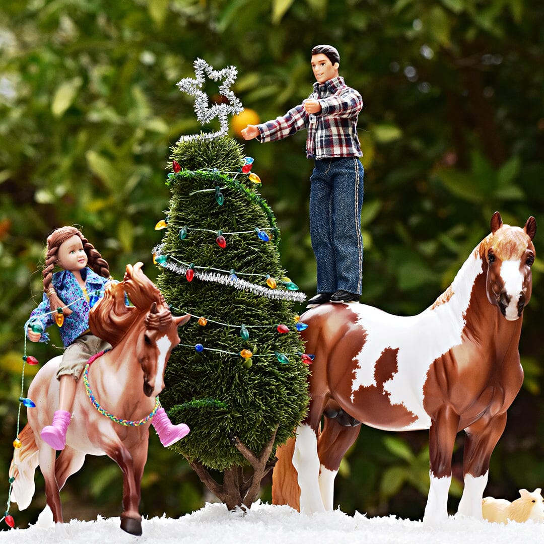 December 2022 Breyer Photo Show Results