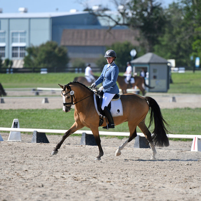 Diving into Disciplines - Dressage