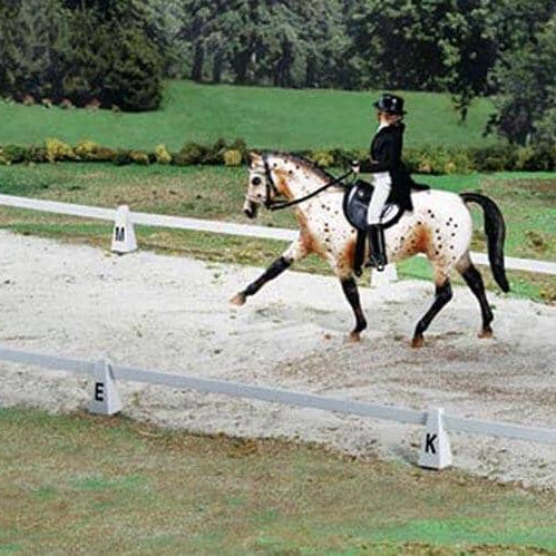 Dressage Arena | Retired