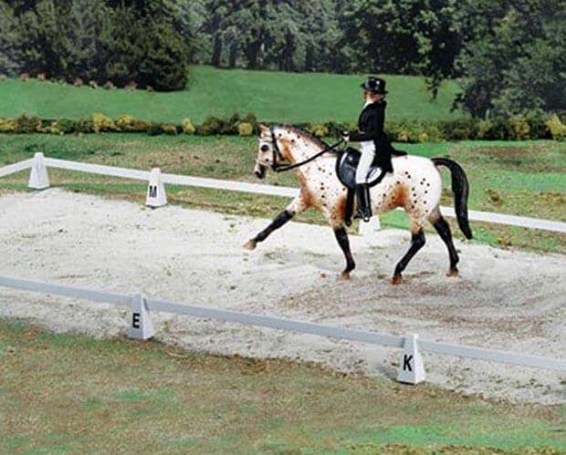 Dressage Arena | Retired