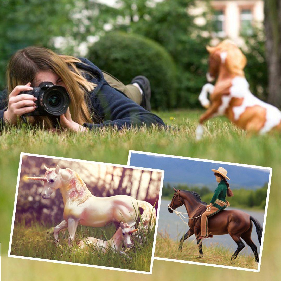 Enter the May 2019 Breyer Photo Show