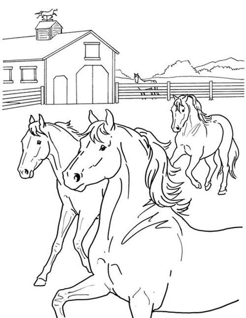 Fitting in with the Herd Coloring Page — BreyerHorses.com