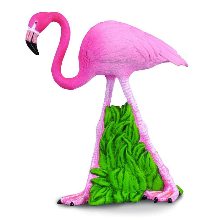 Flamingo | Retired