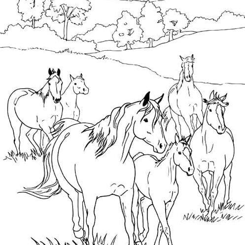 Coloring Pages — BreyerHorses.com