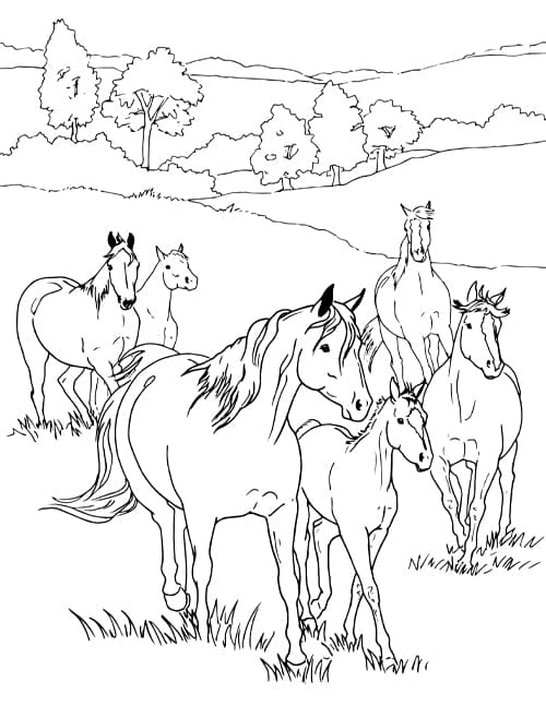 Herd in the Meadow Coloring Page