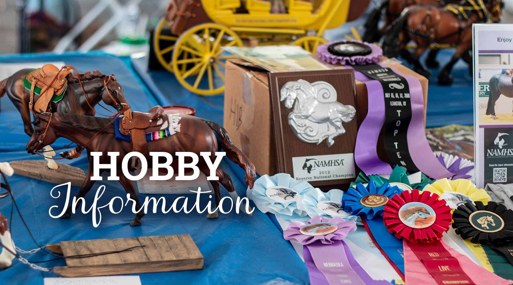 Hobby Information!