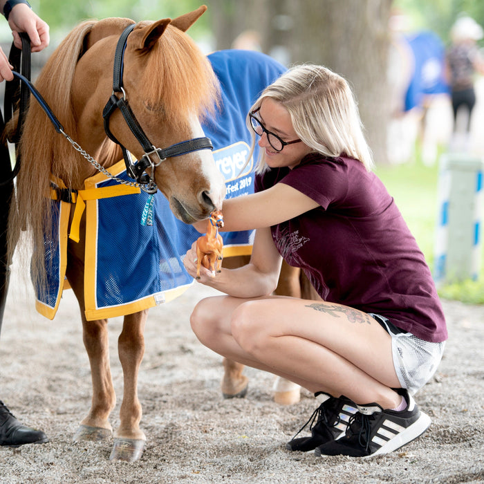 ICYMI: BreyerFest Info. Recap!