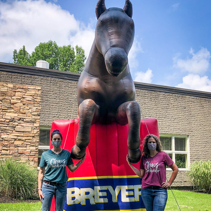 Inside (Virtual) BreyerFest!