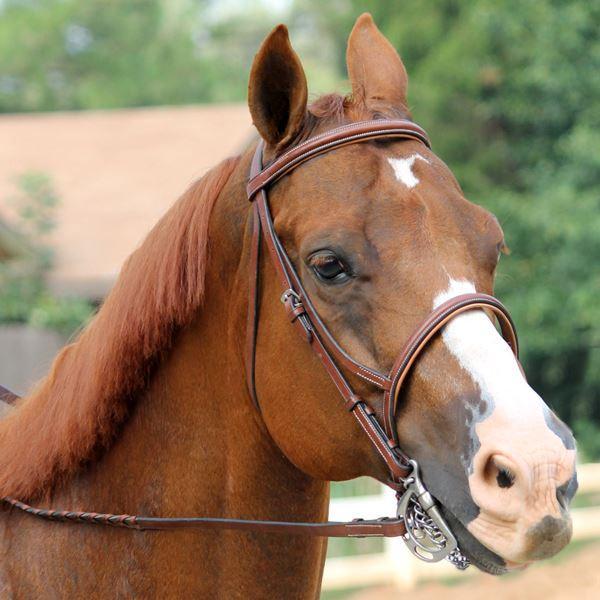 Intro to Face Markings