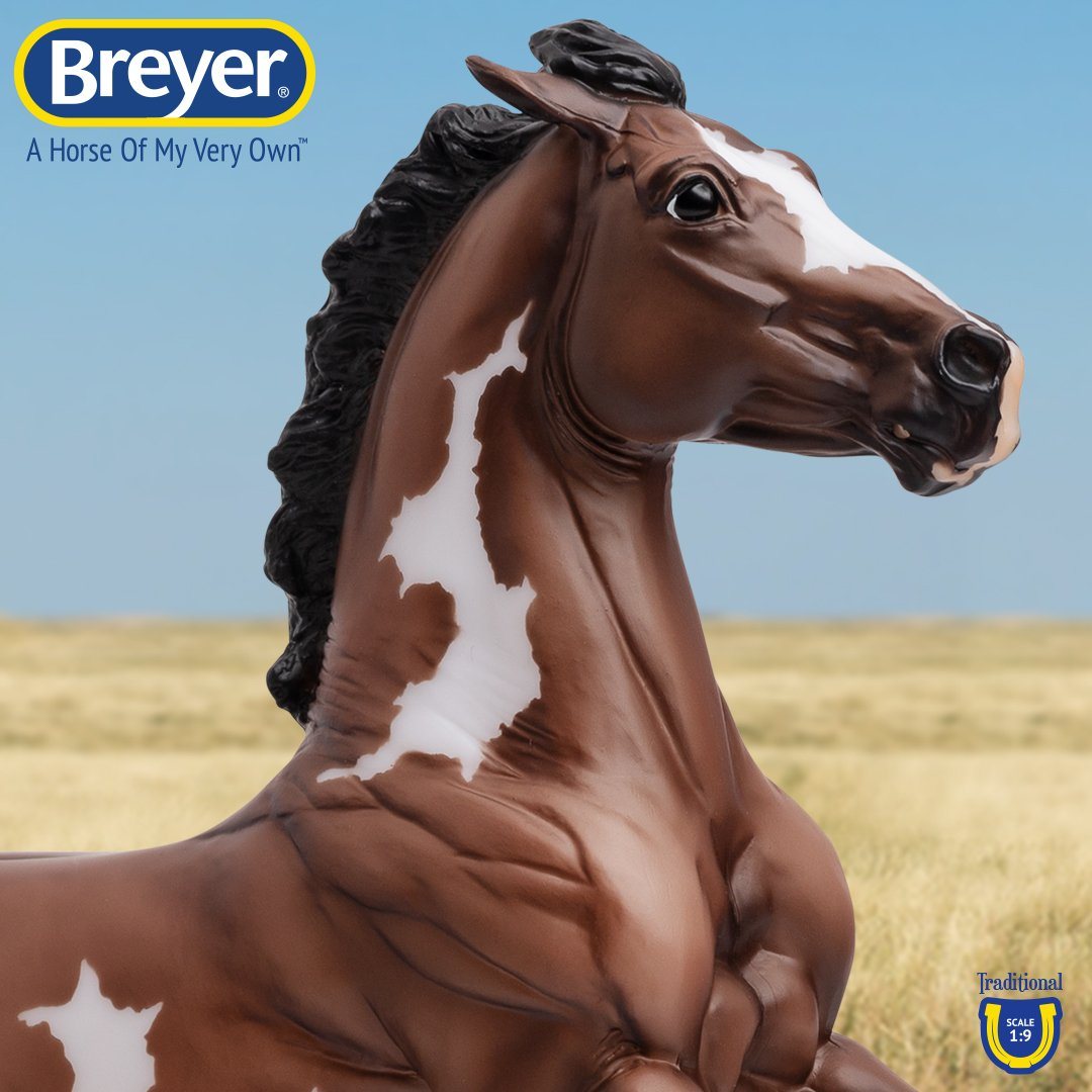 Breyer Steele selling