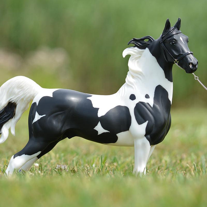 July/August Breyer Photo Show Contest – Results