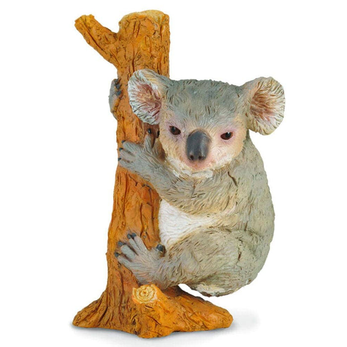 Koala | Retired