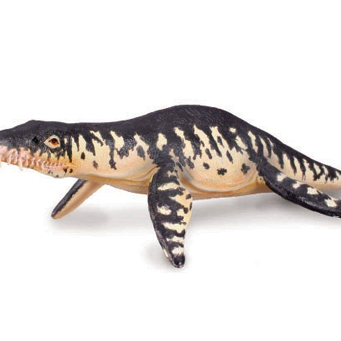 Liopleurodon | Retired