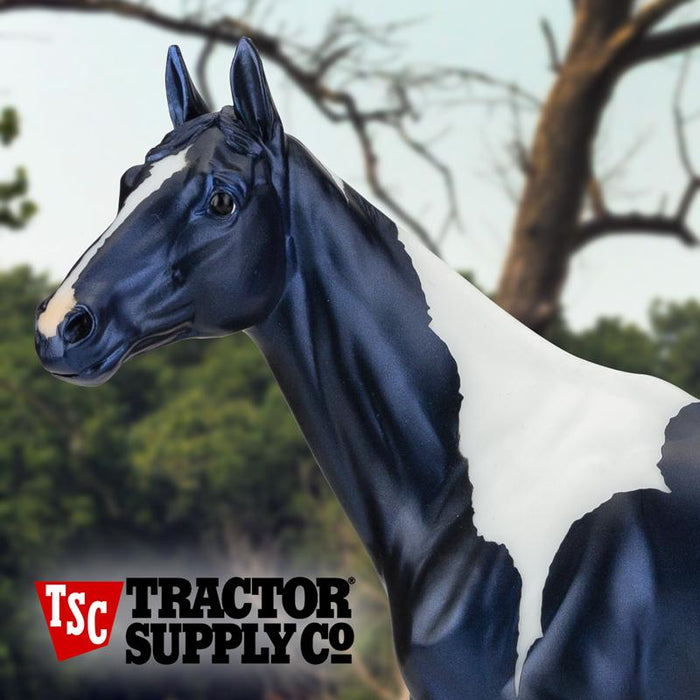 Meet the 2020 Tractor Supply Special Runs